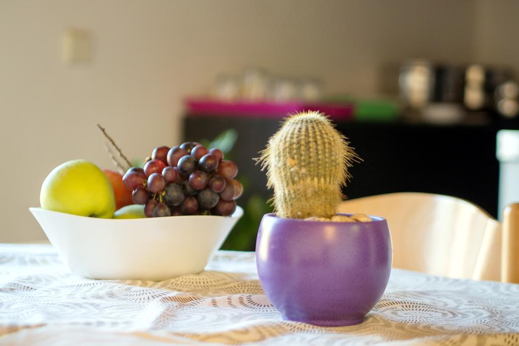 Beach Guesthouse Mediteran Подстрана Номер фото